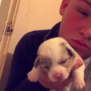 Meet your Posher, Johnny